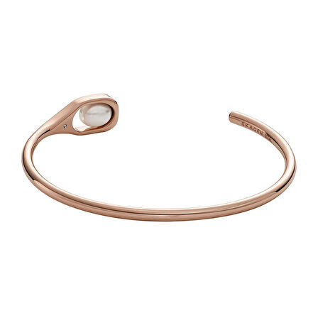 Skagen SKJ1748-791 Kadın Bileklik