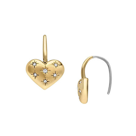 Fossil JF04833-710 Kalpli Kadın Küpe