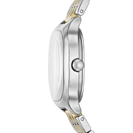 Skagen SKW3160 Kadın Kol Saati