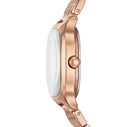 Skagen Watches SKW3166 Kadın Kol Saati