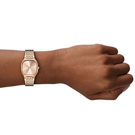 Skagen Watches SKW3166 Kadın Kol Saati