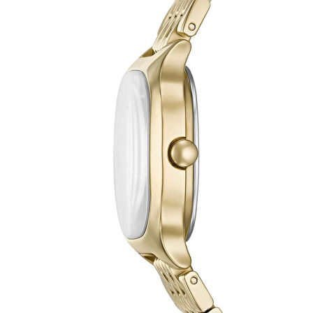 Skagen SKW3162 Kadın Kol Saati