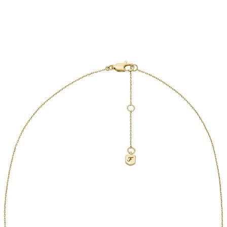 Fossil JA7287-710 Kadın Kolye