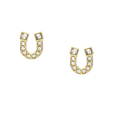 Fossil JF04908-710 Kadın Küpe