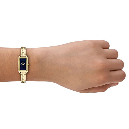 Skagen SKW3170 Kadın Kol Saati