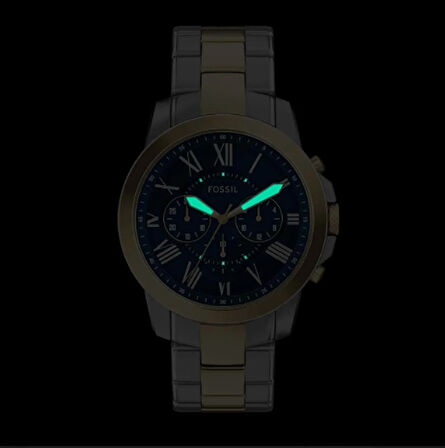 Fossil FFS6132 Erkek Kol Saati