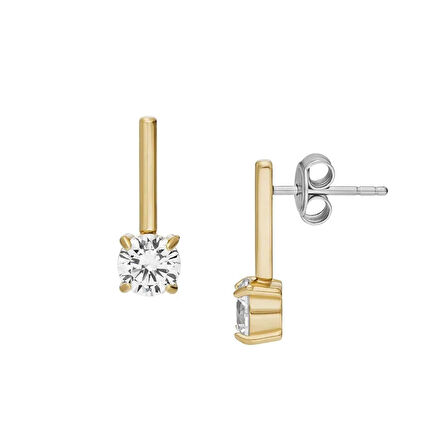 Fossil JF04897-710 Kadın Küpe