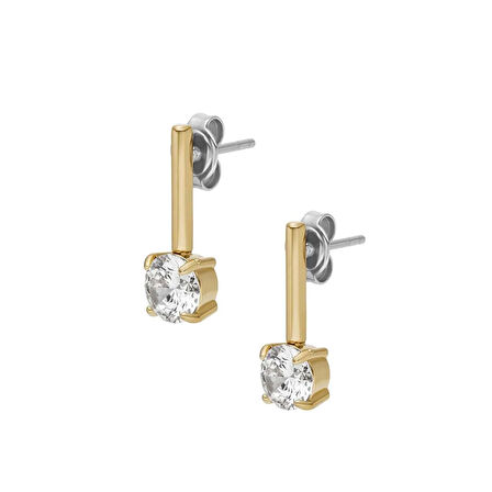 Fossil JF04897-710 Kadın Küpe