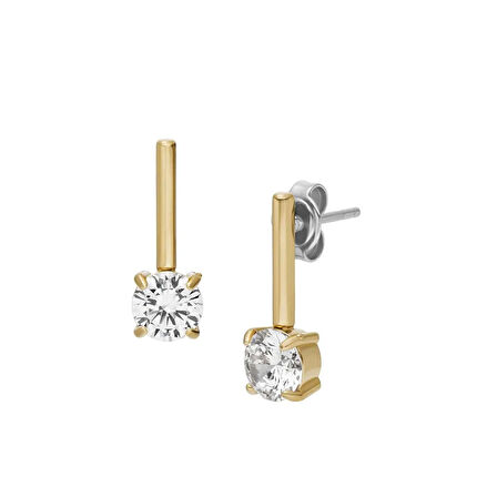 Fossil JF04897-710 Kadın Küpe