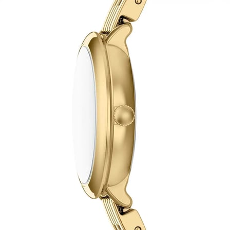 Fossil FES5501 Kadın Kol Saati