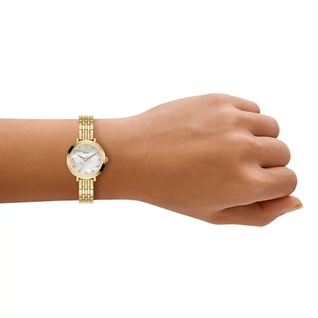 Fossil FES5501 Kadın Kol Saati