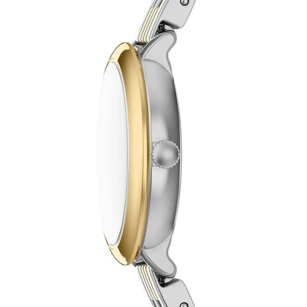 Fossil FES5500 Kadın Kol Saati