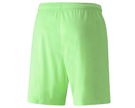 Puma Teamliga Shorts Erkek Futbol Şortu 70492420 Yeşil