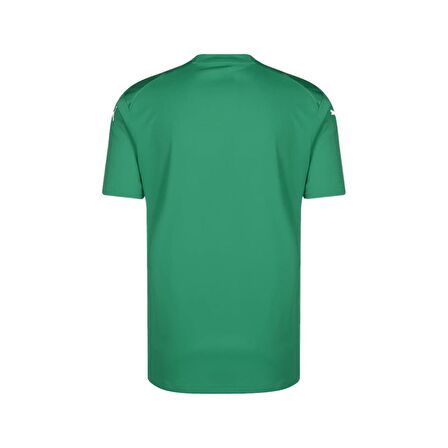 Puma 705017 Teamglory Jersey Yeşil