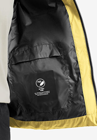 Jack Wolfskin Frozen Palace Jkt W Rds Kadın A65097