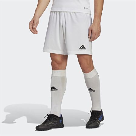 Adidas Entrada 22 Erkek Futbol Şortu Beyaz HG6295