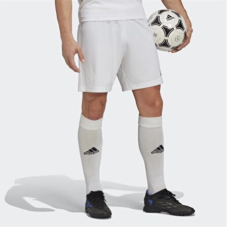 Adidas Entrada 22 Erkek Futbol Şortu Beyaz HG6295