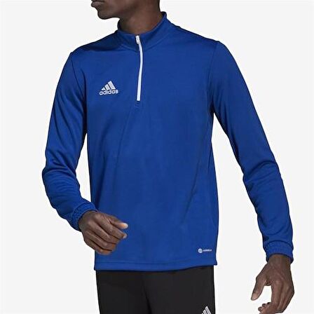 Adidas HG6286 Ent22 Tr Top Erkek Sweatshirt