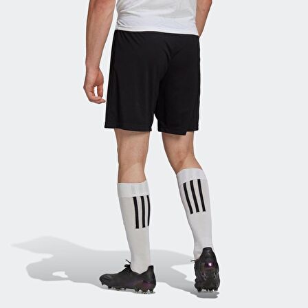 adidas H57504 ENT22 SPOR ERKEK SHORT