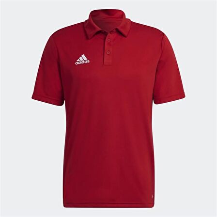 Adidas Ent22 Polo  Erkek Tişört