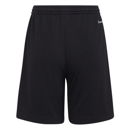 Adidas Çocuk Şort Entrada 22