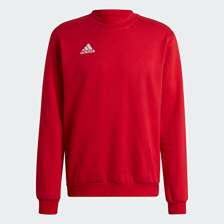 Adidas Erkek Sweatshirt Entrada 22