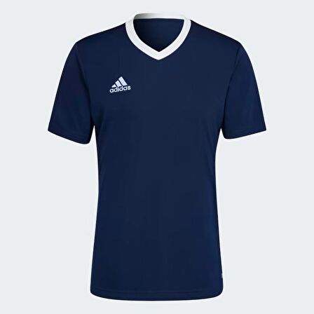 Adidas Entrada 22 Jersey Erkek Forma