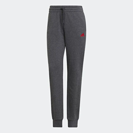 adidas HD1698 Kadın Füme Eşofman Altı