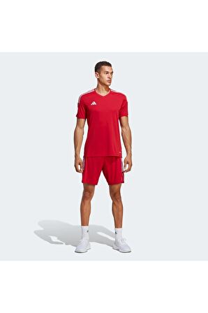 Adidas Erkek Şort IB8082