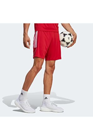 Adidas Erkek Şort IB8082