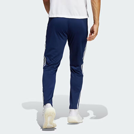 Adidas Tr-Es Base Erkek Eşofman Altı