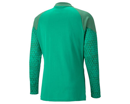 Puma Teamcup Training Jacket Erkek Futbol Antrenman Ceketi 65798305 Yeşil