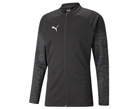 Puma Teamcup Training Jacket Erkek Futbol Antrenman Ceketi 65798303 Siyah