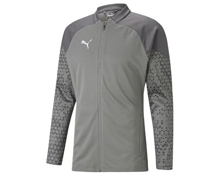 Puma Teamcup Training Jacket Erkek Futbol Antrenman Ceketi 65798313 Gri