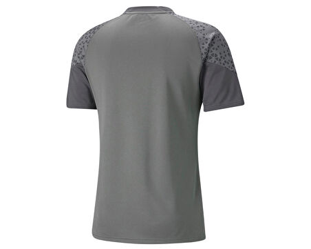 Puma Teamcup Training Jersey Erkek Futbol Tişörtü 65798413 Gri