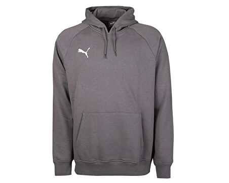 Puma Turkey Hoodie Türkiye Futbol Antrenman Sweatshirt 60546903 Gri