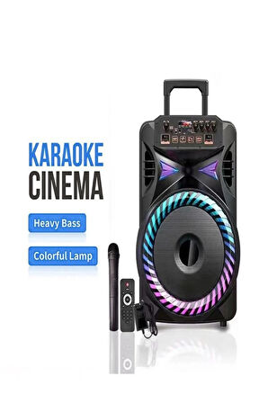 40 WATT Bluetooth Hoparlör Şarjlı Taşınabilir Karaoke Sistemi + Mikrofon + Kumanda