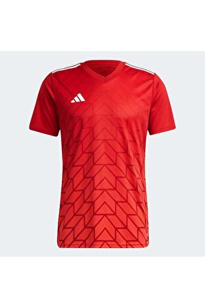 adidas Erkek T-shirt HT6551