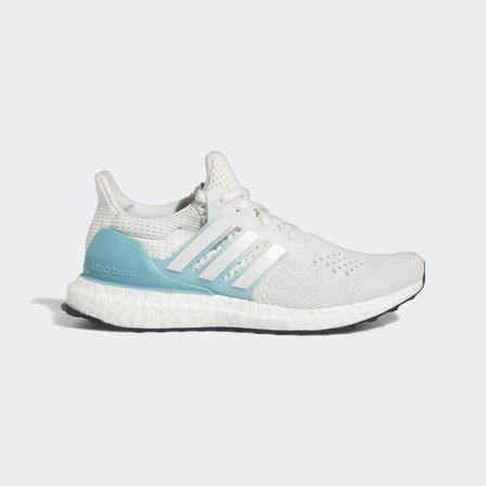 ULTRABOOST 1.0 KADIN KOŞU AYAKKABISI-HQ6440