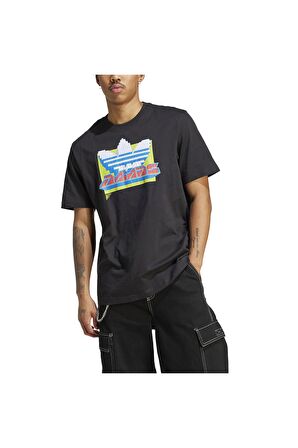 adidas Erkek T-shirt IC5744