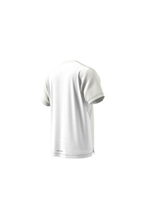 adidas Erkek T-shirt HT9442