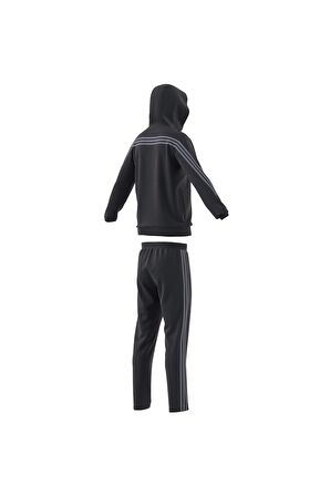 adidas Erkek Eşofman Takımı IC6769