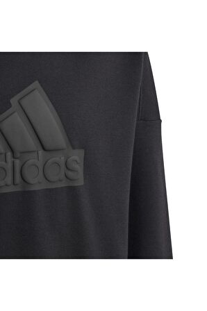 adidas Çocuk Sweatshirt HR6301