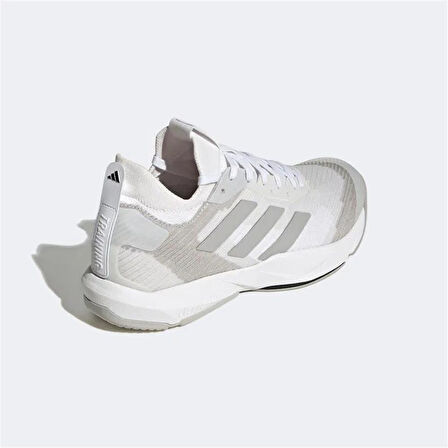 RAPIDMOVE ADV TRAINER M