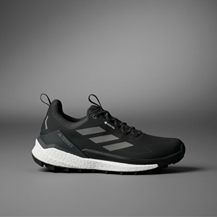 TERREX FREE HIKER 2 LOW GTX