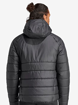 Adidas Tiro24 Winter Jacket Erkek Mont