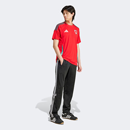 adidas Galler Milli Takım Erkek Kırmızı Futbol Forması