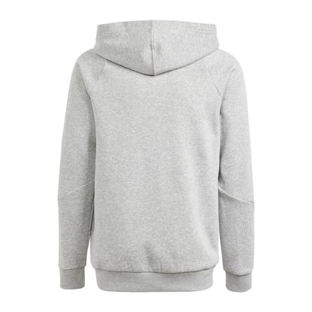 adidas Tiro24 Çocuk Kapüşonlu Sweatshirt