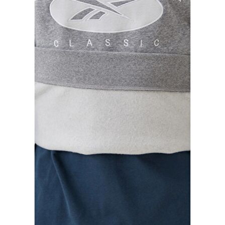 Reebok Erkek Sweatshirt Archive Essentials