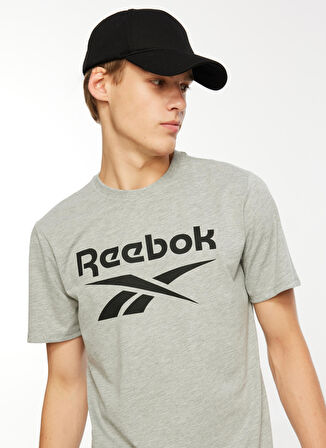 Reebok Gri Melanj Erkek Yuvarlak Yaka T-Shirt IM1617 REEBOK IDENTITY STACKED L